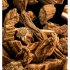 ROOT Eau de Parfum 100 ml.